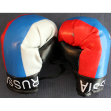 Boxing gloves for the car